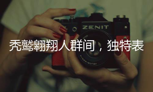 禿鷲翱翔人群間，獨(dú)特表演驚艷四座