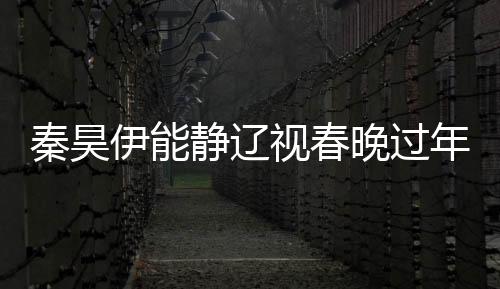 秦昊伊能靜遼視春晚過(guò)年，星光璀璨，共慶佳節(jié)