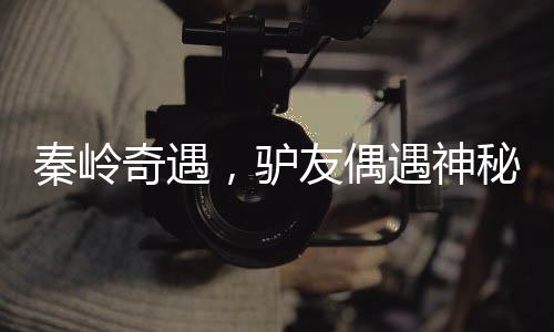 秦嶺奇遇，驢友偶遇神秘六不像神獸