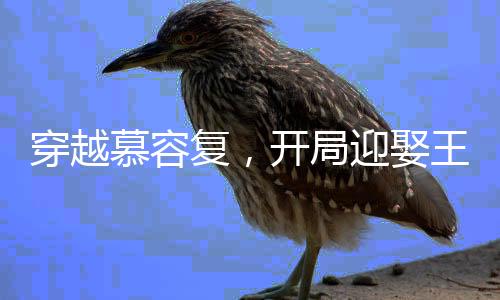 穿越慕容復(fù)，開局迎娶王語嫣