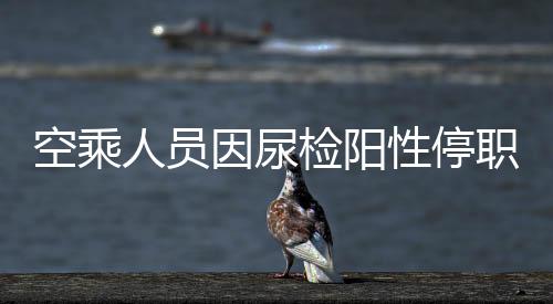 空乘人員因尿檢陽(yáng)性停職事件的深度解析