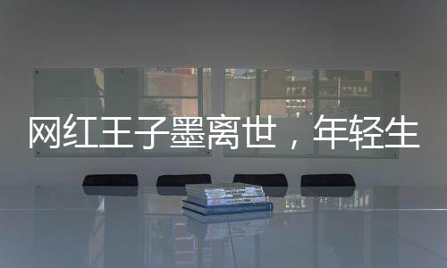 網(wǎng)紅王子墨離世，年輕生命的隕落