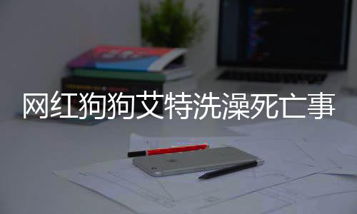 網(wǎng)紅狗狗艾特洗澡死亡事件引發(fā)社會(huì)公憤