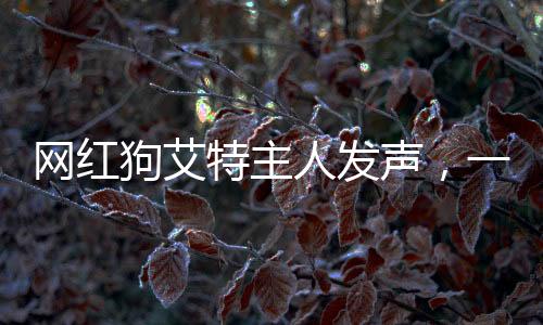 網(wǎng)紅狗艾特主人發(fā)聲，一段跨越物種的深厚情感