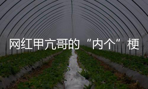 網(wǎng)紅甲亢哥的“內(nèi)個”梗新應用 網(wǎng)友嘗試對DeepSeek說被噴回