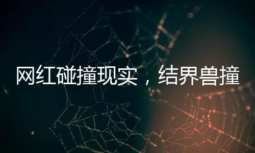 網(wǎng)紅碰撞現(xiàn)實(shí)，結(jié)界獸撞臉央視名嘴撒貝寧