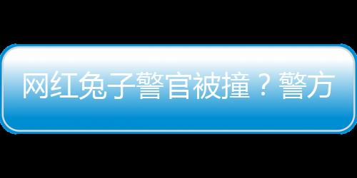 網(wǎng)紅兔子警官被撞？警方辟謠