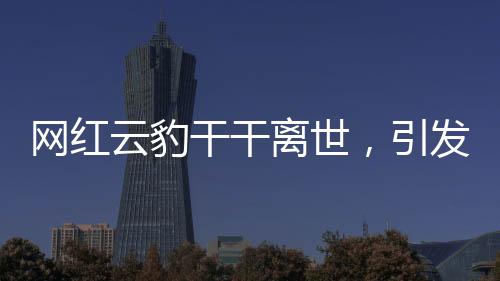 網(wǎng)紅云豹干干離世，引發(fā)網(wǎng)友無(wú)盡哀思