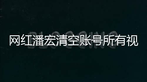網(wǎng)紅潘宏清空賬號(hào)所有視頻原因揭秘，背后引發(fā)深思