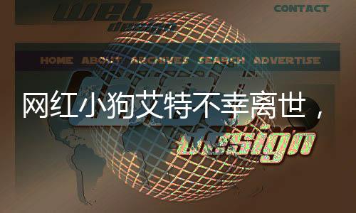網(wǎng)紅小狗艾特不幸離世，潘宏深情發(fā)文道歉