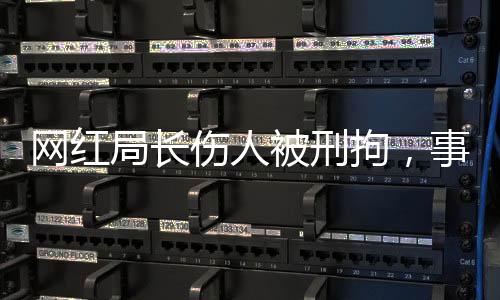 網(wǎng)紅局長傷人被刑拘，事件深度解析