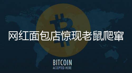 網(wǎng)紅面包店驚現(xiàn)老鼠爬竄，衛(wèi)生安全引關注