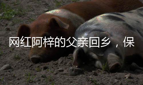 網(wǎng)紅阿梓的父親回鄉(xiāng)，保安爸爸的故事溫暖人心