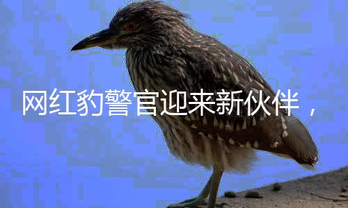 網(wǎng)紅豹警官迎來(lái)新伙伴，團(tuán)隊(duì)壯大助力正能量傳播