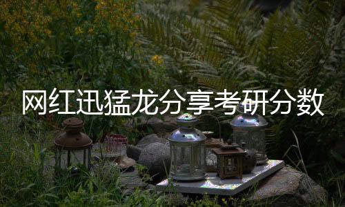 網(wǎng)紅迅猛龍分享考研分數(shù)，高分背后的奮斗故事