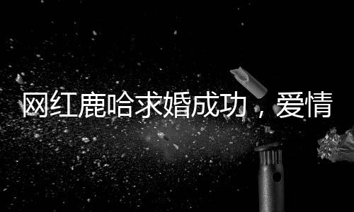 網(wǎng)紅鹿哈求婚成功，愛情的美好時(shí)刻在社交媒體上綻放