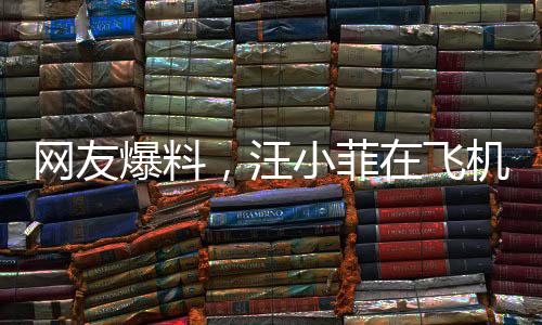 網(wǎng)友爆料，汪小菲在飛機(jī)上陷入情感困境，真情流露引人關(guān)注