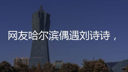網(wǎng)友哈爾濱偶遇劉詩詩，一次不期而遇的邂逅