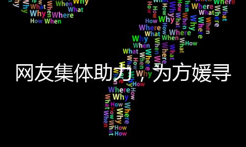 網(wǎng)友集體助力，為方媛尋包行動出謀劃策