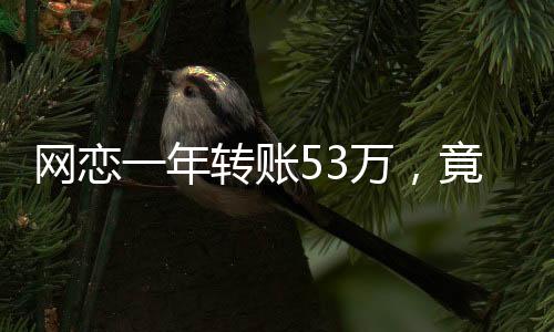 網(wǎng)戀一年轉(zhuǎn)賬53萬(wàn)，竟然是親表妹，網(wǎng)戀風(fēng)險(xiǎn)警示故事