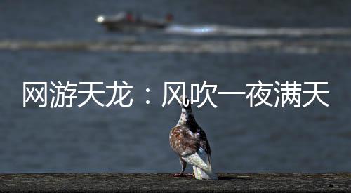網(wǎng)游天龍：風(fēng)吹一夜?jié)M天山。