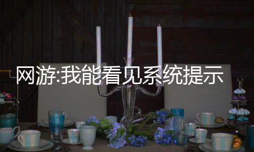網(wǎng)游:我能看見系統(tǒng)提示