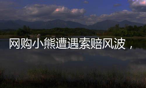 網(wǎng)購小熊遭遇索賠風波，事件背后的真相與啟示
