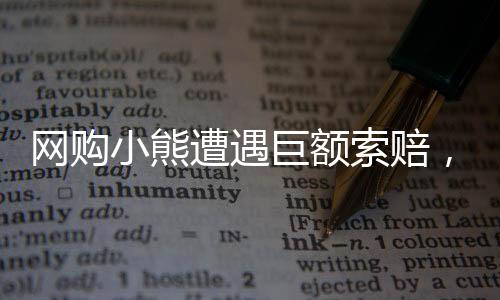 網(wǎng)購小熊遭遇巨額索賠，揭開事件背后的真相
