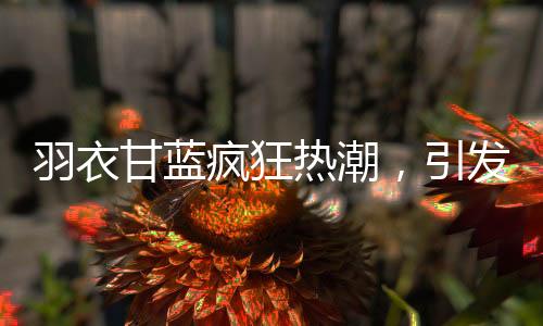 羽衣甘藍(lán)瘋狂熱潮，引發(fā)搶購狂潮的神奇植物