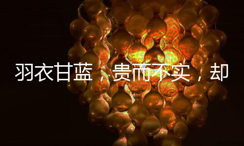 羽衣甘藍(lán)，貴而不實(shí)，卻引搶購(gòu)熱潮
