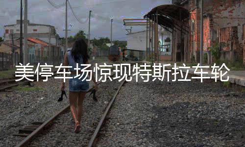 美停車場驚現(xiàn)特斯拉車輪大盜案，44個輪子被盜一空