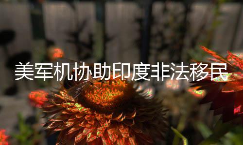 美軍機(jī)協(xié)助印度非法移民回國，多國加強(qiáng)邊境管控合作新聞
