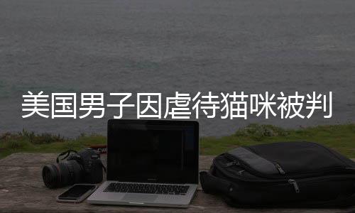 美國(guó)男子因虐待貓咪被判長(zhǎng)達(dá)40年監(jiān)禁，社會(huì)呼吁保護(hù)動(dòng)物權(quán)益