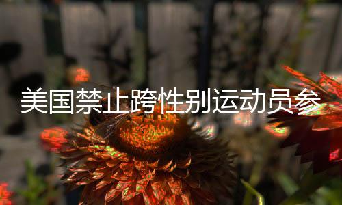 美國(guó)禁止跨性別運(yùn)動(dòng)員參加女子賽事，跨性別平等議題引發(fā)社會(huì)熱議