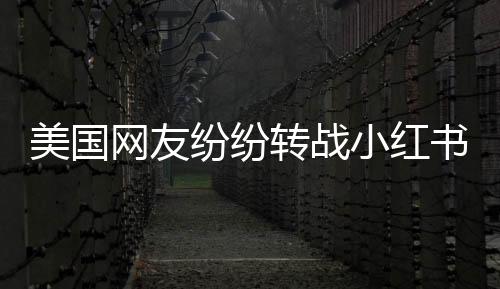 美國網(wǎng)友紛紛轉(zhuǎn)戰(zhàn)小紅書，跨文化交流的嶄新篇章