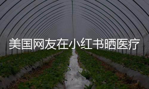 美國網(wǎng)友在小紅書曬醫(yī)療賬單，透明醫(yī)療背后的跨國討論