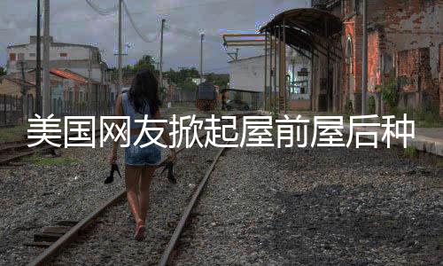 美國網(wǎng)友掀起屋前屋后種菜熱潮