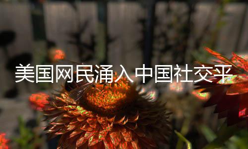 美國網(wǎng)民涌入中國社交平臺，跨文化交流的全新篇章