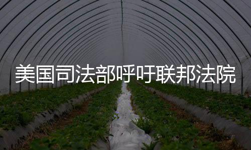 美國司法部呼吁聯(lián)邦法院強(qiáng)制谷歌出售Chrome業(yè)務(wù)：認(rèn)定非法壟斷
