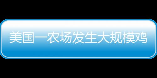 美國一農(nóng)場發(fā)生大規(guī)模雞蛋失竊案，逾十萬枚雞蛋被盜，警方展開調(diào)查