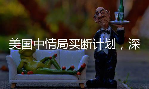美國中情局買斷計(jì)劃，深度解析與影響評估