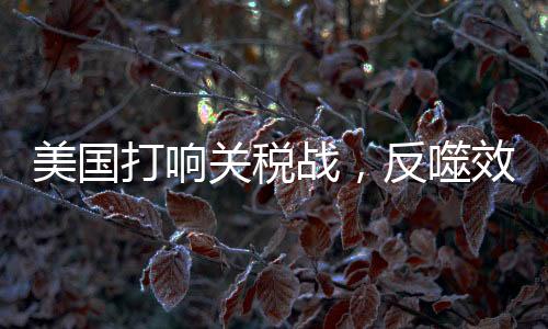 美國打響關稅戰(zhàn)，反噬效應波及全球