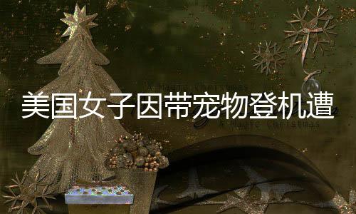 美國女子因帶寵物登機遭拒，將愛犬溺死事件引發(fā)社會關(guān)注
