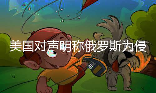 美國對聲明稱俄羅斯為侵略者持反對態(tài)度，探究各方立場與影響
