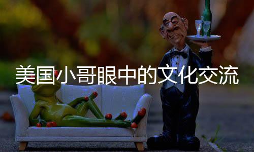 美國(guó)小哥眼中的文化交流，中國(guó)無(wú)需模仿美國(guó)文化的糟粕