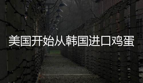 美國(guó)開(kāi)始從韓國(guó)進(jìn)口雞蛋，全球雞蛋市場(chǎng)動(dòng)態(tài)及影響分析