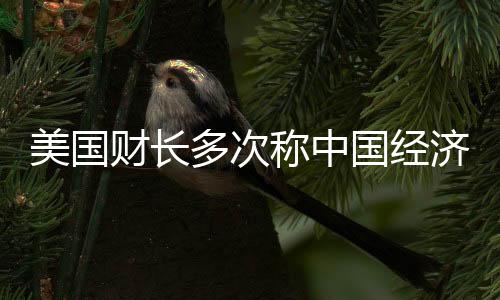 美國財長多次稱中國經(jīng)濟過度依賴出口，觀點分析與經(jīng)濟解讀