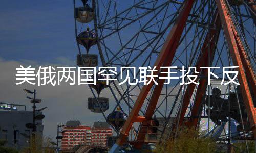 美俄兩國(guó)罕見(jiàn)聯(lián)手投下反對(duì)票，美媒驚呼，全球格局新變化？