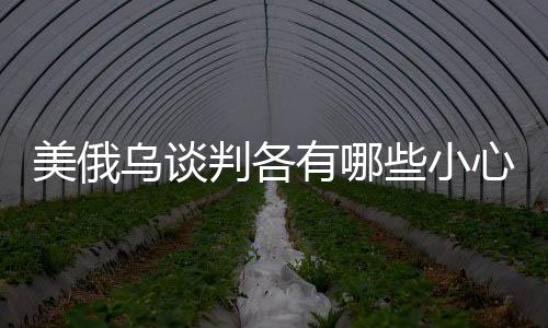 美俄烏談判各有哪些小心思，分析三方策略背后的動(dòng)機(jī)與挑戰(zhàn)