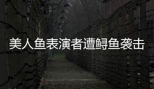 美人魚表演者遭鱘魚襲擊 景區(qū)回應(yīng)，安全與娛樂并重的重要課題